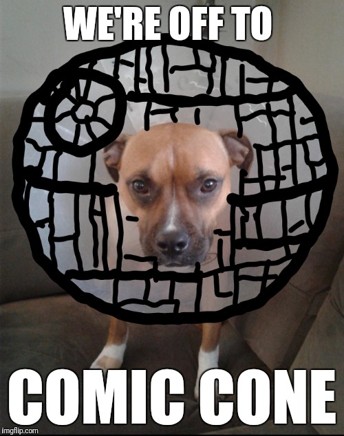 WE'RE OFF TO; COMIC CONE | image tagged in pit bull | made w/ Imgflip meme maker