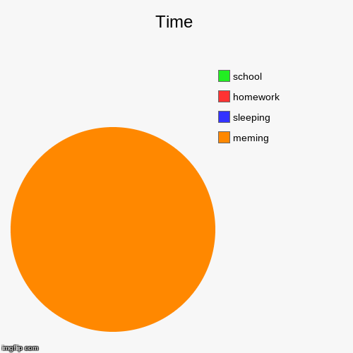 Time | meming, sleeping, homework, school | image tagged in funny,pie charts | made w/ Imgflip chart maker