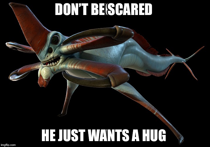 DON’T BE SCARED; HE JUST WANTS A HUG | image tagged in memes | made w/ Imgflip meme maker