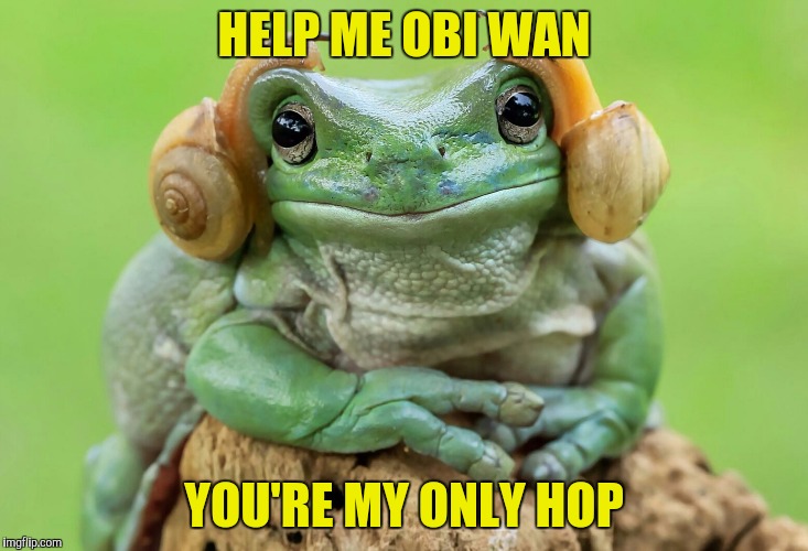 A tribute to one of my oldest IMGFlip friends who deleted her account several days ago |  HELP ME OBI WAN; YOU'RE MY ONLY HOP | image tagged in frog with snails,powermetalhead,tribute,petiaa,memes,funny | made w/ Imgflip meme maker