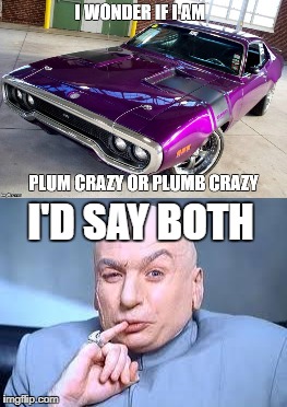 Plum or Plumb Crazy 2 | I'D SAY BOTH | image tagged in car memes,funny memes | made w/ Imgflip meme maker