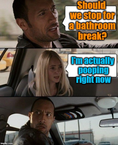 The Rock Driving Meme | Should we stop for a bathroom break? I'm actually pooping right now | image tagged in memes,the rock driving | made w/ Imgflip meme maker