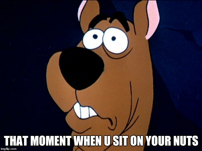 Scooby doo | THAT MOMENT WHEN U SIT ON YOUR NUTS | image tagged in scooby doo | made w/ Imgflip meme maker