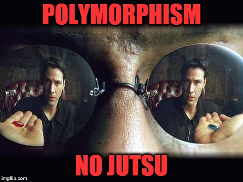 polymorphism in JAVA eclipse 23pcjt