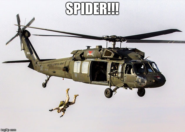 Black Hawk Parachute Jump Soldier | SPIDER!!! | image tagged in black hawk parachute jump soldier | made w/ Imgflip meme maker