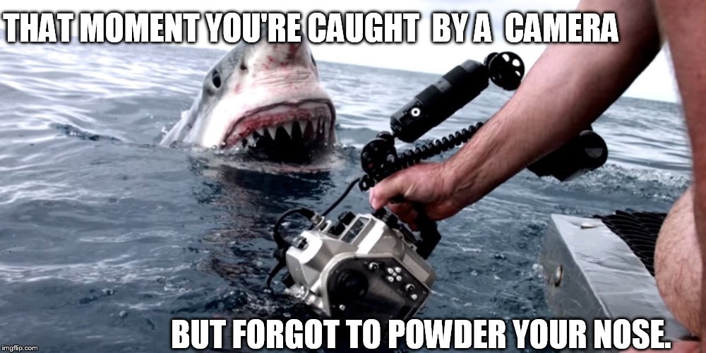 candid camera  shark   | THAT MOMENT YOU'RE CAUGHT  BY A  CAMERA; BUT FORGOT TO POWDER YOUR NOSE. | image tagged in great white shark,camera,nose | made w/ Imgflip meme maker