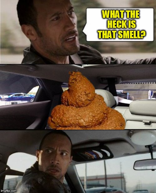 The Rock Driving Blank | WHAT THE HECK IS THAT SMELL? | image tagged in the rock driving blank | made w/ Imgflip meme maker