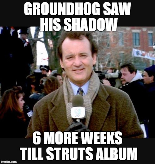 Groundhog Day blah | GROUNDHOG SAW HIS SHADOW; 6 MORE WEEKS TILL STRUTS ALBUM | image tagged in groundhog day blah | made w/ Imgflip meme maker