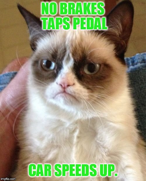 Grumpy Cat Meme | NO BRAKES TAPS PEDAL; CAR SPEEDS UP. | image tagged in memes,grumpy cat,no brakes,car,speeding,up | made w/ Imgflip meme maker