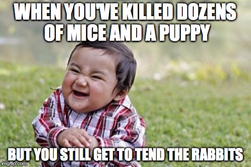 Evil Toddler Meme | WHEN YOU'VE KILLED DOZENS OF MICE AND A PUPPY; BUT YOU STILL GET TO TEND THE RABBITS | image tagged in memes,evil toddler | made w/ Imgflip meme maker