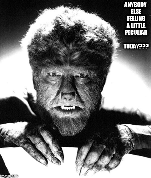 ANYBODY ELSE FEELING A LITTLE PECULIAR TODAY??? | image tagged in wolfman | made w/ Imgflip meme maker