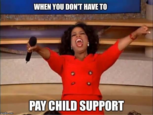Oprah You Get A Meme | WHEN YOU DON'T HAVE TO; PAY CHILD SUPPORT | image tagged in memes,oprah you get a | made w/ Imgflip meme maker
