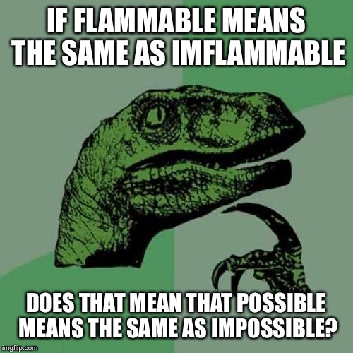 Philosoraptor Meme | IF FLAMMABLE MEANS THE SAME AS IMFLAMMABLE; DOES THAT MEAN THAT POSSIBLE MEANS THE SAME AS IMPOSSIBLE? | image tagged in memes,philosoraptor | made w/ Imgflip meme maker