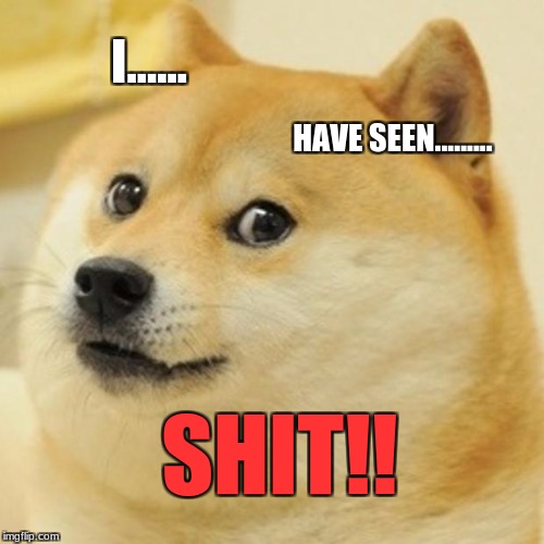 Doge Meme | I...... HAVE SEEN......... SHIT!! | image tagged in memes,doge | made w/ Imgflip meme maker