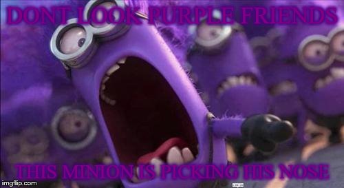 Purple Minion | DONT LOOK PURPLE FRIENDS; THIS MINION IS PICKING HIS NOSE | image tagged in purple minion | made w/ Imgflip meme maker