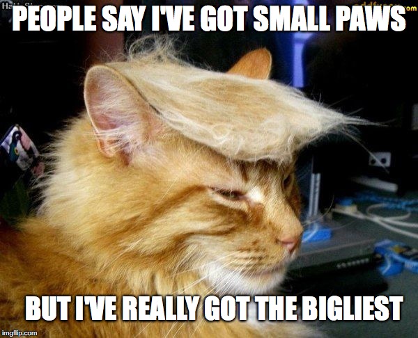 donald trump cat | PEOPLE SAY I'VE GOT SMALL PAWS; BUT I'VE REALLY GOT THE BIGLIEST | image tagged in donald trump cat | made w/ Imgflip meme maker