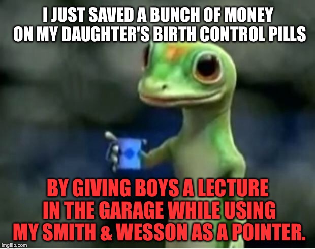 Smith and Wesson abstinence lecture | I JUST SAVED A BUNCH OF MONEY ON MY DAUGHTER'S BIRTH CONTROL PILLS; BY GIVING BOYS A LECTURE IN THE GARAGE WHILE USING MY SMITH & WESSON AS A POINTER. | image tagged in geico gecko,gun,boys,pills,father,points | made w/ Imgflip meme maker