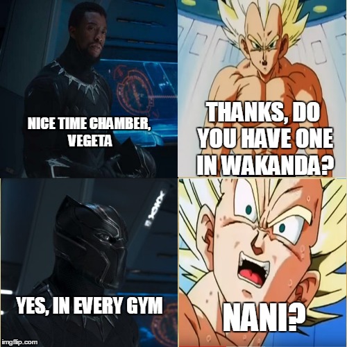 BLACK PANTHER IS RICHER THAN VEGETA | NICE TIME CHAMBER, VEGETA; THANKS, DO YOU HAVE ONE IN WAKANDA? YES, IN EVERY GYM; NANI? | image tagged in black panther,vegeta,dragon ball z,marvel | made w/ Imgflip meme maker