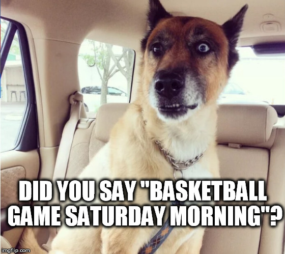 DID YOU SAY "BASKETBALL GAME SATURDAY MORNING"? | image tagged in befuddled dog | made w/ Imgflip meme maker
