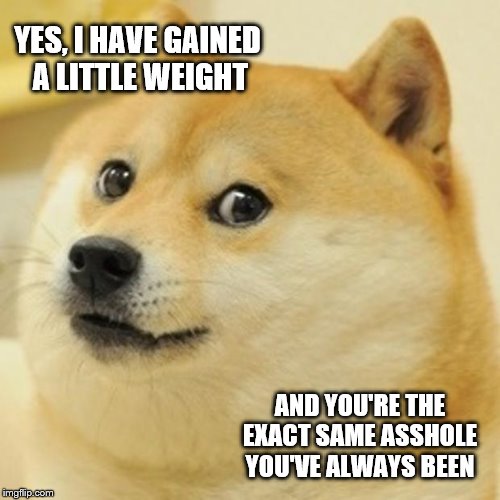 Rubbed the wrong way | YES, I HAVE GAINED A LITTLE WEIGHT; AND YOU'RE THE EXACT SAME ASSHOLE YOU'VE ALWAYS BEEN | image tagged in memes,doge | made w/ Imgflip meme maker