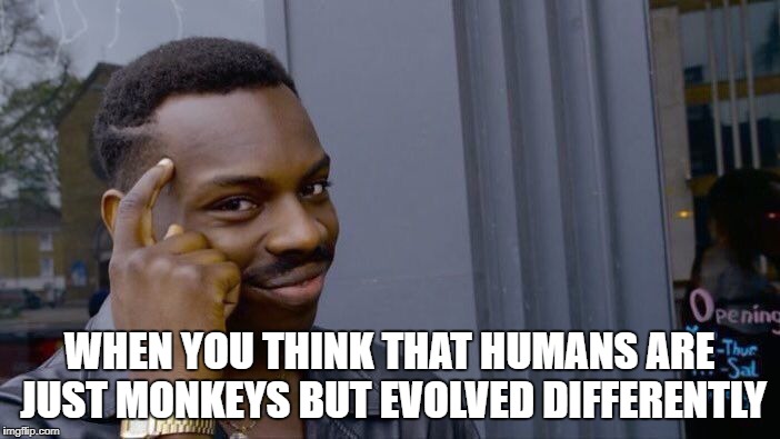 Roll Safe Think About It Meme | WHEN YOU THINK THAT HUMANS ARE JUST MONKEYS BUT EVOLVED DIFFERENTLY | image tagged in memes,roll safe think about it | made w/ Imgflip meme maker