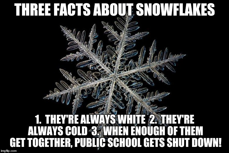 Snowflakes are Republican! | THREE FACTS ABOUT SNOWFLAKES; 1.  THEY'RE ALWAYS WHITE  2.  THEY'RE ALWAYS COLD  3.  WHEN ENOUGH OF THEM GET TOGETHER, PUBLIC SCHOOL GETS SHUT DOWN! | image tagged in funny,memes,gop,conservatives,republicans,snowflakes | made w/ Imgflip meme maker