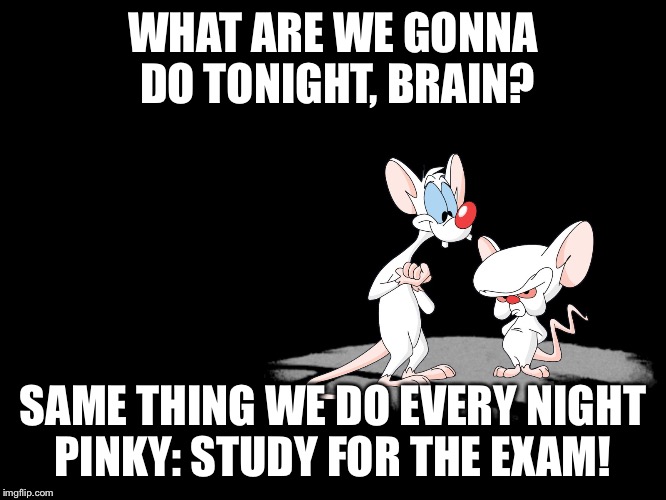 Pinky And The Brain | WHAT ARE WE GONNA DO TONIGHT, BRAIN? SAME THING WE DO EVERY NIGHT PINKY: STUDY FOR THE EXAM! | image tagged in pinky and the brain | made w/ Imgflip meme maker