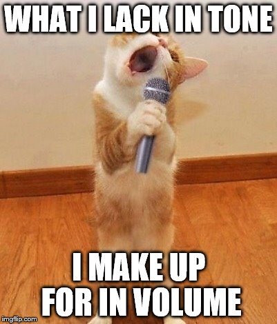 Bad singing | WHAT I LACK IN TONE; I MAKE UP FOR IN VOLUME | image tagged in happy birthday day  maureeeennn from the singing cat,singing | made w/ Imgflip meme maker