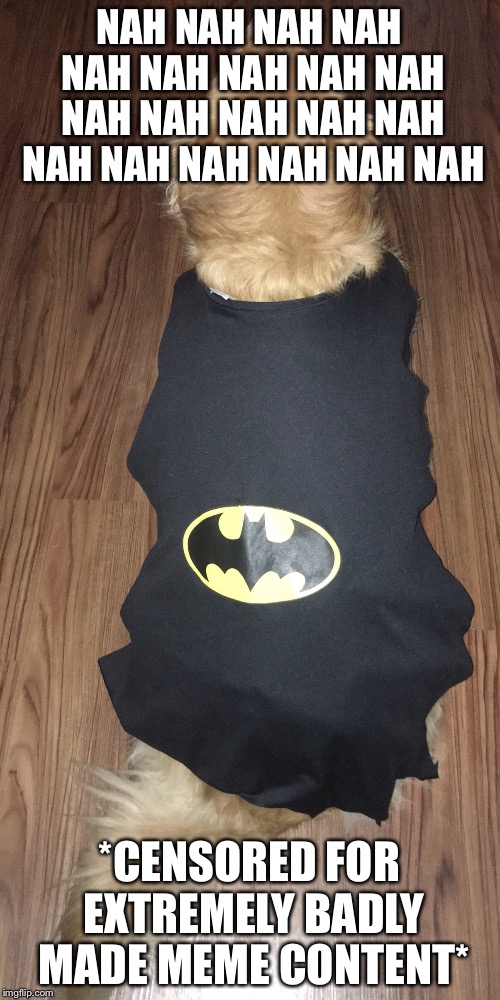 My dog is wearing this rn... It took ten minutes for me to settle her down enough to get this picture... | NAH NAH NAH NAH NAH NAH NAH NAH NAH NAH NAH NAH NAH NAH NAH NAH NAH NAH NAH NAH; *CENSORED FOR EXTREMELY BADLY MADE MEME CONTENT* | image tagged in memes,funny,lol,batman,dog,puppy | made w/ Imgflip meme maker