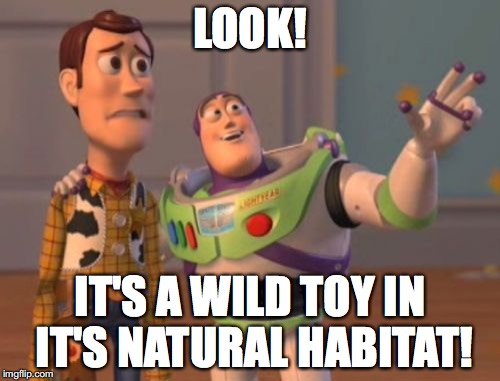 X, X Everywhere Meme | LOOK! IT'S A WILD TOY IN IT'S NATURAL HABITAT! | image tagged in memes,x x everywhere | made w/ Imgflip meme maker