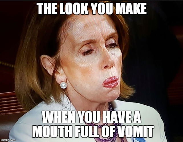 Nancy Pelosi PB Sandwich | THE LOOK YOU MAKE; WHEN YOU HAVE A MOUTH FULL OF VOMIT | image tagged in nancy pelosi pb sandwich | made w/ Imgflip meme maker