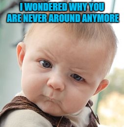 Skeptical Baby Meme | I WONDERED WHY YOU ARE NEVER AROUND ANYMORE | image tagged in memes,skeptical baby | made w/ Imgflip meme maker