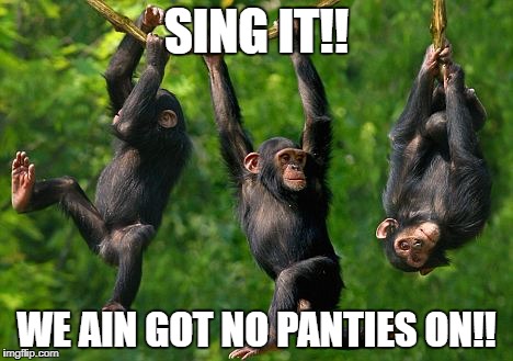 SING IT!! WE AIN GOT NO PANTIES ON!! | image tagged in panties | made w/ Imgflip meme maker