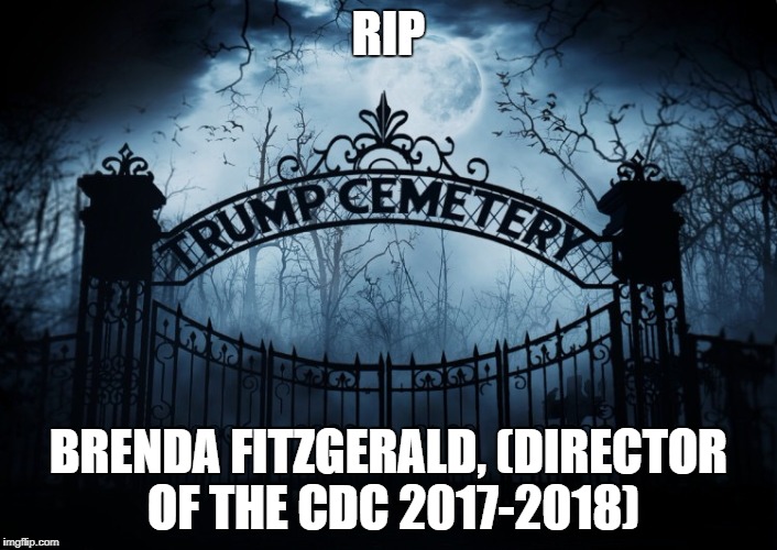 Brenda Fitzgerald, director of the CDC | RIP; BRENDA FITZGERALD, (DIRECTOR OF THE CDC 2017-2018) | image tagged in brenda fitzgerald,donald trump,cdc,rip,republican,trump administration | made w/ Imgflip meme maker