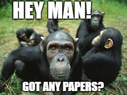 HEY MAN! GOT ANY PAPERS? | image tagged in smoke weed everyday | made w/ Imgflip meme maker