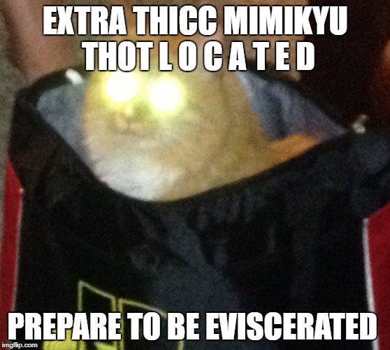 Laser Cat | EXTRA THICC MIMIKYU THOT L O C A T E D; PREPARE TO BE EVISCERATED | image tagged in laser cat | made w/ Imgflip meme maker