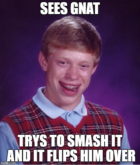 Bad Luck Brian Meme | SEES GNAT; TRYS TO SMASH IT AND IT FLIPS HIM OVER | image tagged in memes,bad luck brian | made w/ Imgflip meme maker