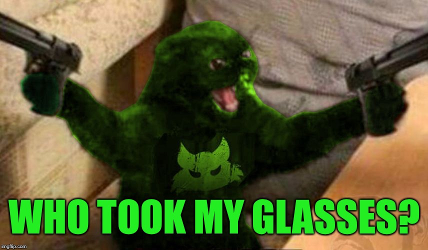 RayCat Angry | WHO TOOK MY GLASSES? | image tagged in raycat angry | made w/ Imgflip meme maker