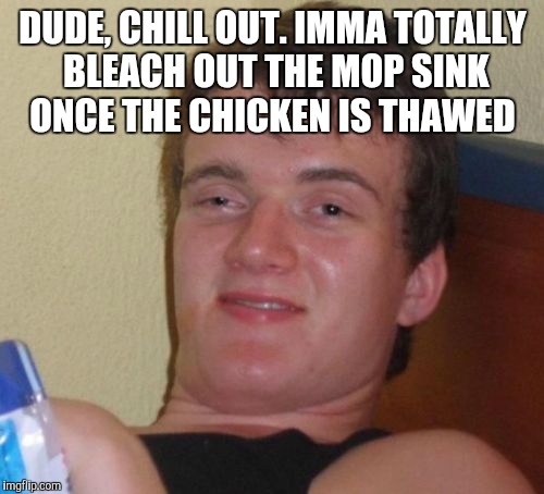 10 Guy Meme | DUDE, CHILL OUT. IMMA TOTALLY BLEACH OUT THE MOP SINK ONCE THE CHICKEN IS THAWED | image tagged in memes,10 guy | made w/ Imgflip meme maker