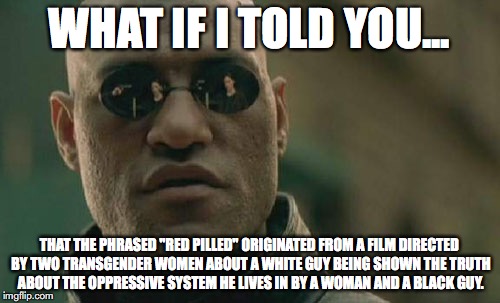 Matrix Morpheus Meme | WHAT IF I TOLD YOU... THAT THE PHRASED "RED PILLED" ORIGINATED FROM A FILM DIRECTED BY TWO TRANSGENDER WOMEN ABOUT A WHITE GUY BEING SHOWN T | image tagged in memes,matrix morpheus | made w/ Imgflip meme maker