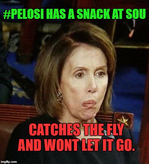 #PELOSI HAS A SNACK AT SOU; CATCHES THE FLY AND WONT LET IT GO. | image tagged in pelosi with shit stuck in her mouth | made w/ Imgflip meme maker