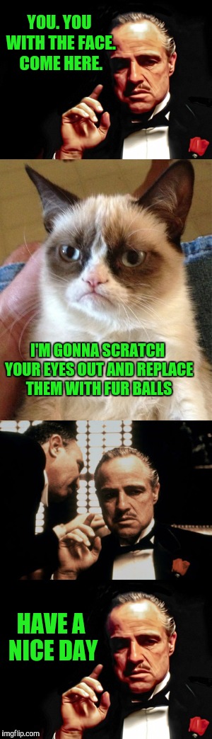 Just Let It Go... | YOU. YOU WITH THE FACE. COME HERE. I'M GONNA SCRATCH YOUR EYES OUT AND REPLACE THEM WITH FUR BALLS; HAVE A NICE DAY | image tagged in memes,grumpy cat | made w/ Imgflip meme maker