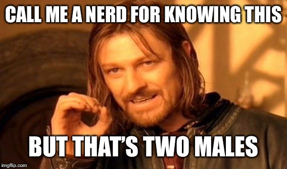 One Does Not Simply Meme | CALL ME A NERD FOR KNOWING THIS BUT THAT’S TWO MALES | image tagged in memes,one does not simply | made w/ Imgflip meme maker