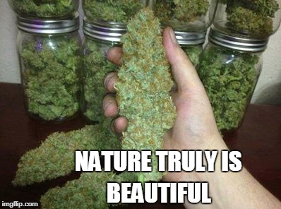 NATURE TRULY IS BEAUTIFUL | made w/ Imgflip meme maker