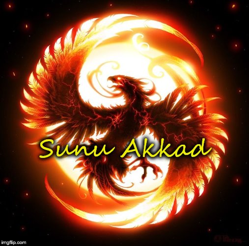 Sunu Akkad - Logo | Sunu Akkad | image tagged in phoenix,sunu,akkad,sunuakkad,writer,blogger | made w/ Imgflip meme maker