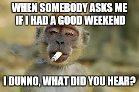 WHEN SOMEBODY ASKS ME IF I HAD A GOOD WEEKEND; I DUNNO, WHAT DID YOU HEAR? | image tagged in weekend,crazy | made w/ Imgflip meme maker