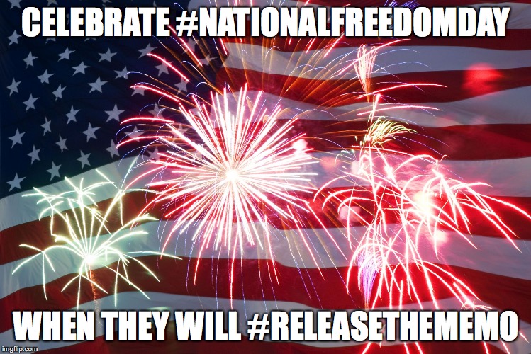 Flag Fireworks | CELEBRATE #NATIONALFREEDOMDAY; WHEN THEY WILL #RELEASETHEMEMO | image tagged in flag fireworks | made w/ Imgflip meme maker