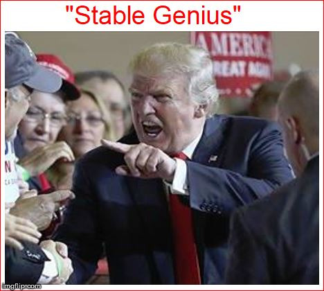 image tagged in stable genius | made w/ Imgflip meme maker