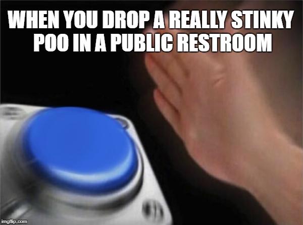 poo | WHEN YOU DROP A REALLY STINKY POO IN A PUBLIC RESTROOM | image tagged in memes,blank nut button | made w/ Imgflip meme maker
