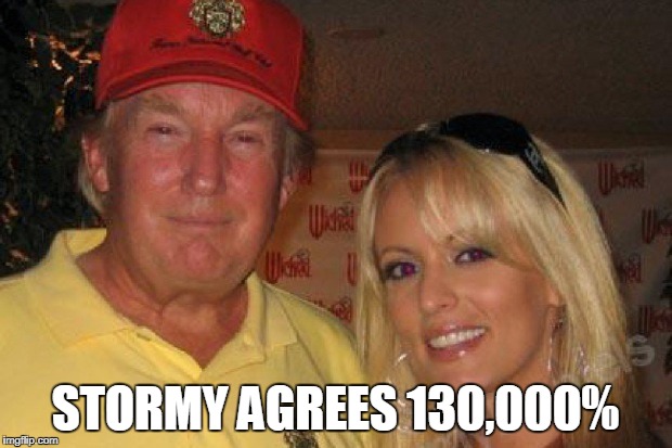 Stormy Agrees | STORMY AGREES 130,000% | image tagged in stormy daniels,trump,money,agree | made w/ Imgflip meme maker